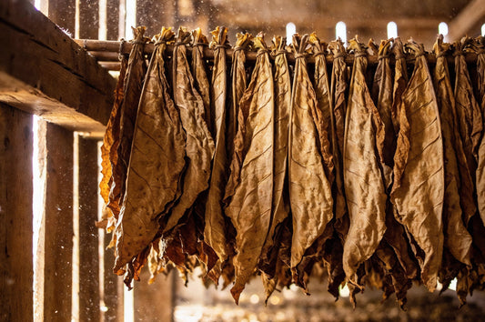 How Aging Enhances Cigar Flavor