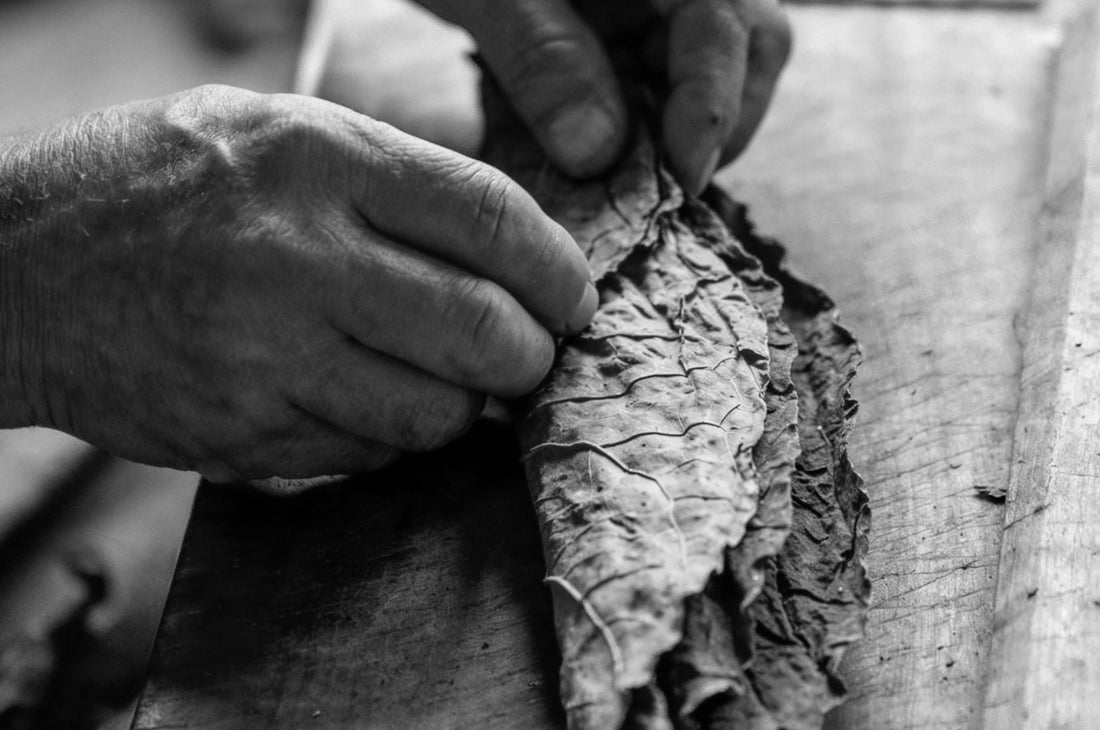 How a Well-Wrapped Cigar Affects Your Smoke